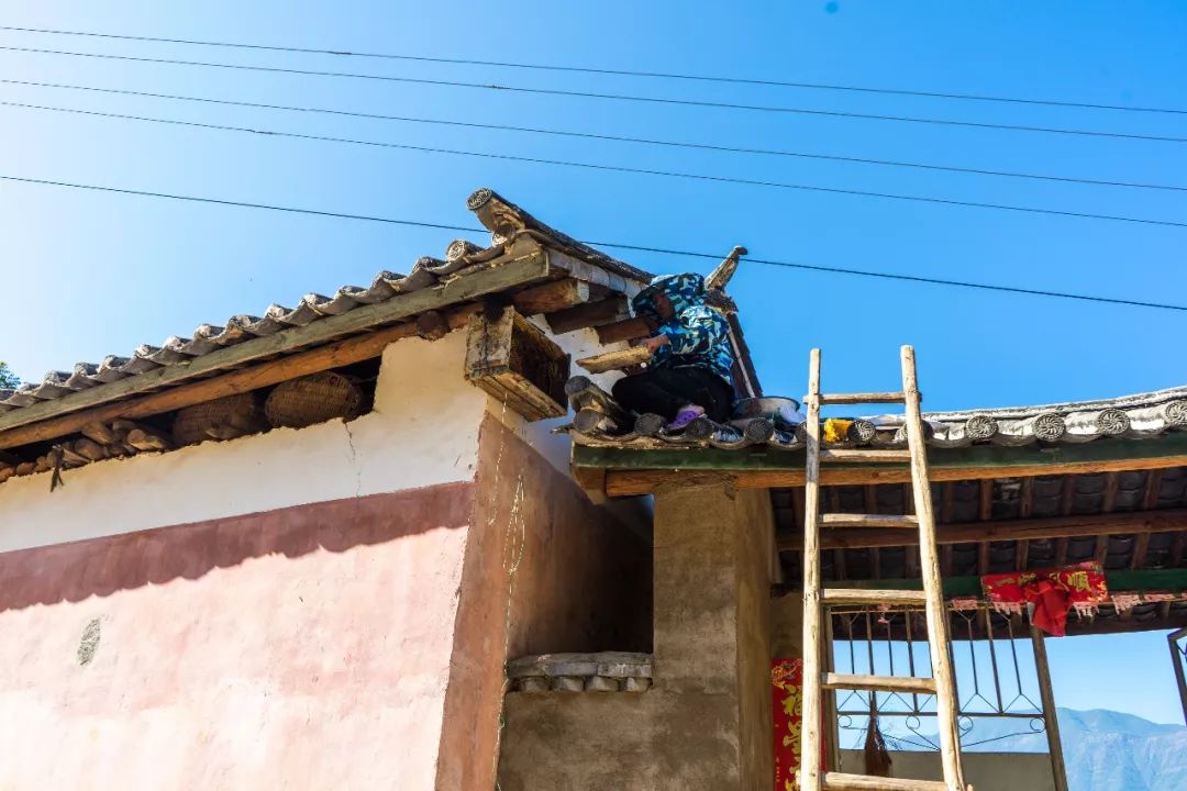 土蜂蜜取蜜全过程,土蜂蜜正确取蜜方法