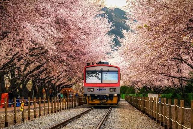 日语代词知识大全,日语指示代词怎么称呼