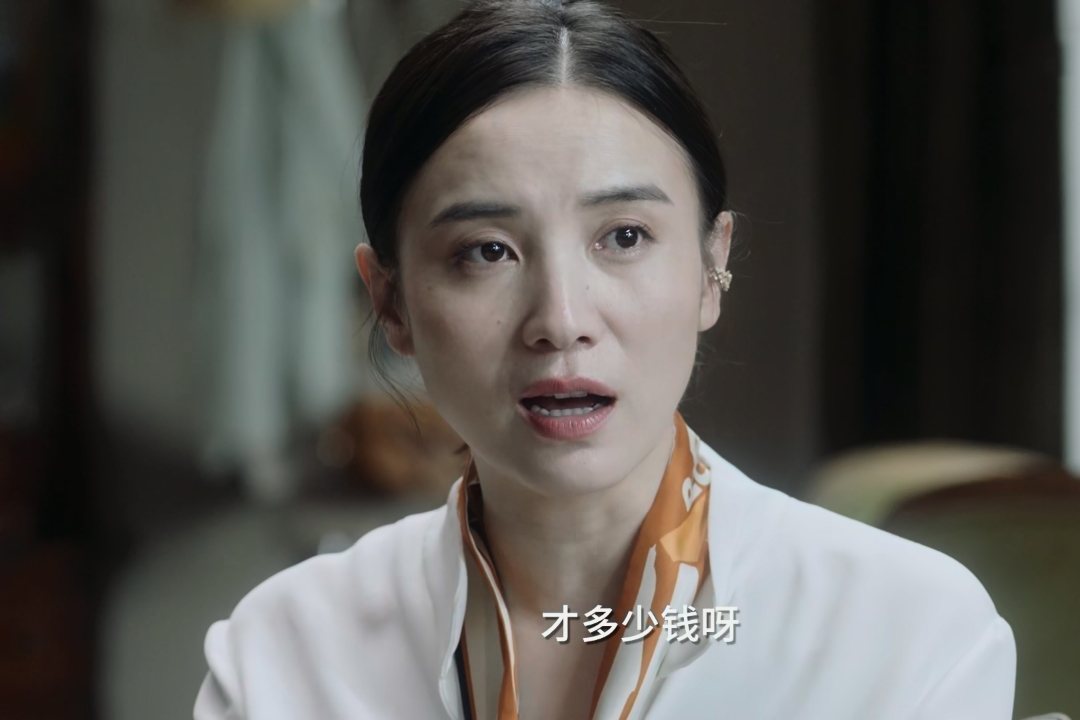 《小舍得》学区房泡汤，夏君山还有手段送欢欢进翰林，南俪却反对