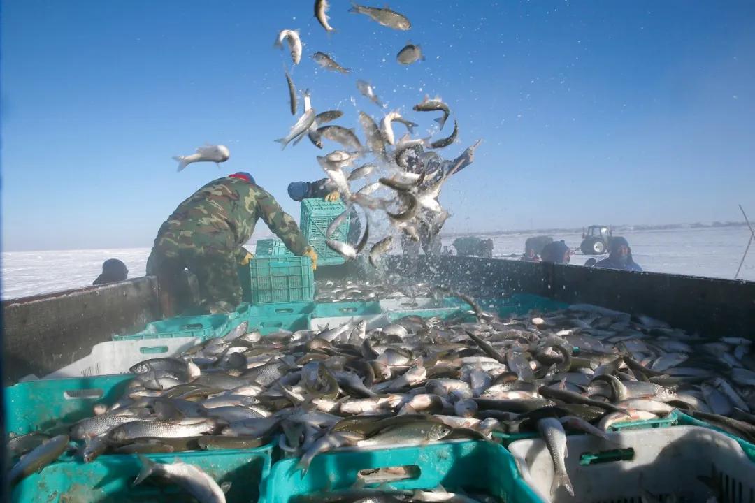 内蒙赤峰热吗,内蒙古赤峰冷不冷