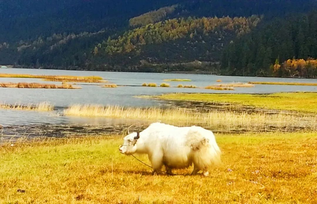 户外游最佳路线,小众户外游攻略