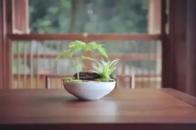 杭州不足山宿：清风中我徐徐相迎，愿你往来是归客