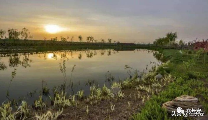 王寺镇冯党村,长安区冯党村