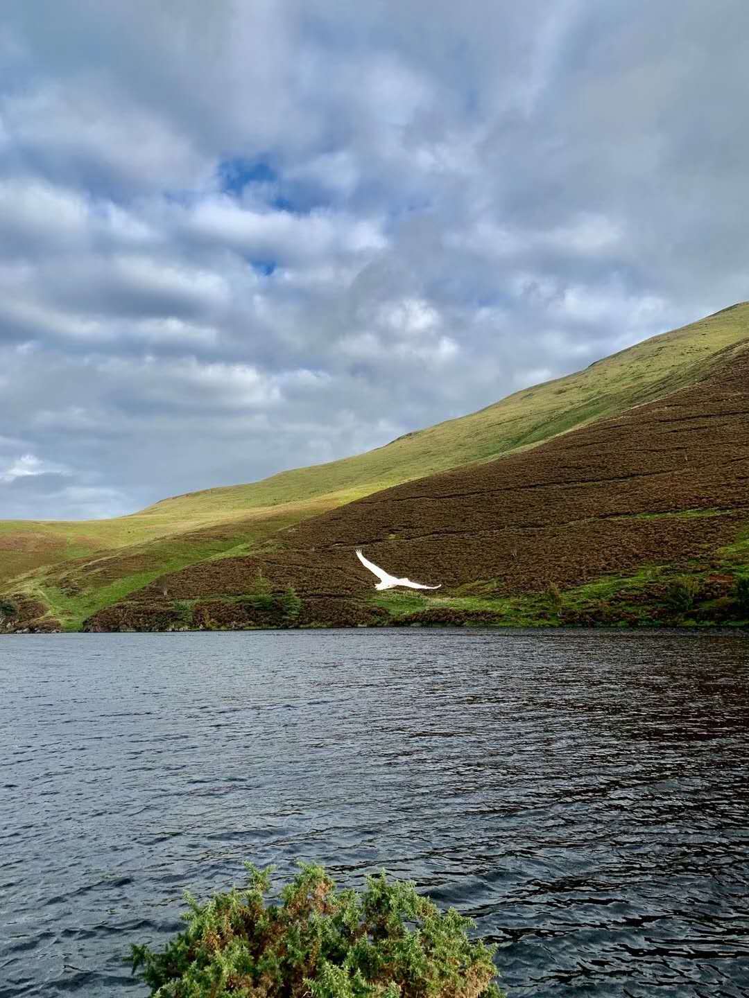 没有围墙的淡江大学教会了我成就自己
