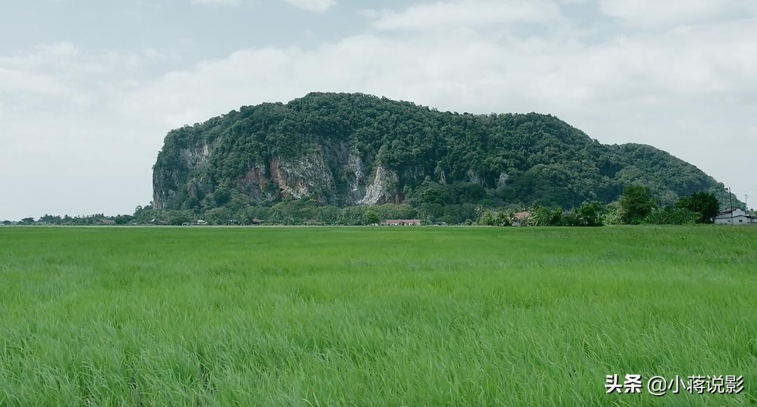 顶级恐怖片降头,1983经典恐怖片降头