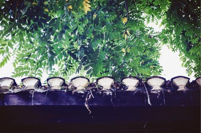 人到50岁了，要面对现实