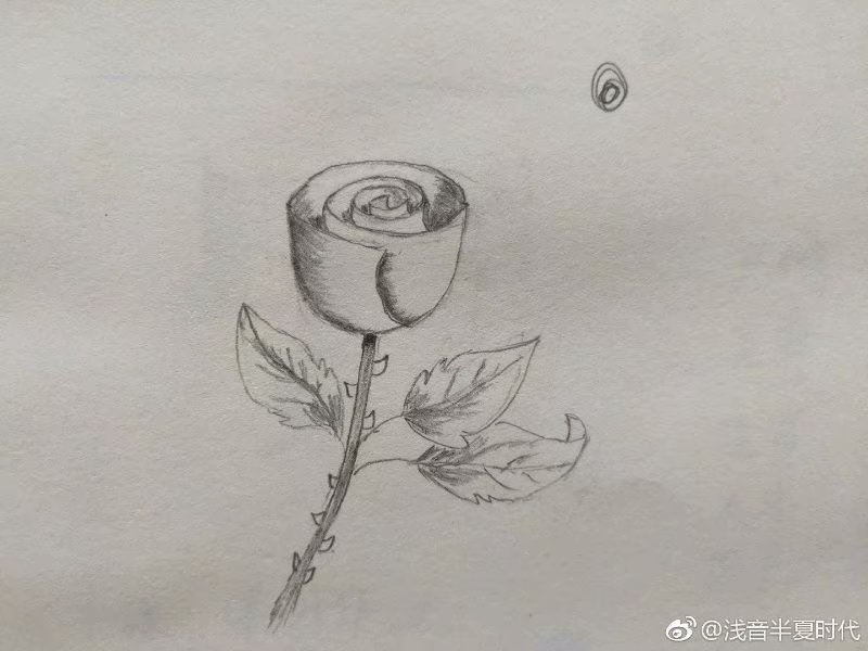 绘画自学教程大全,自学绘画100招