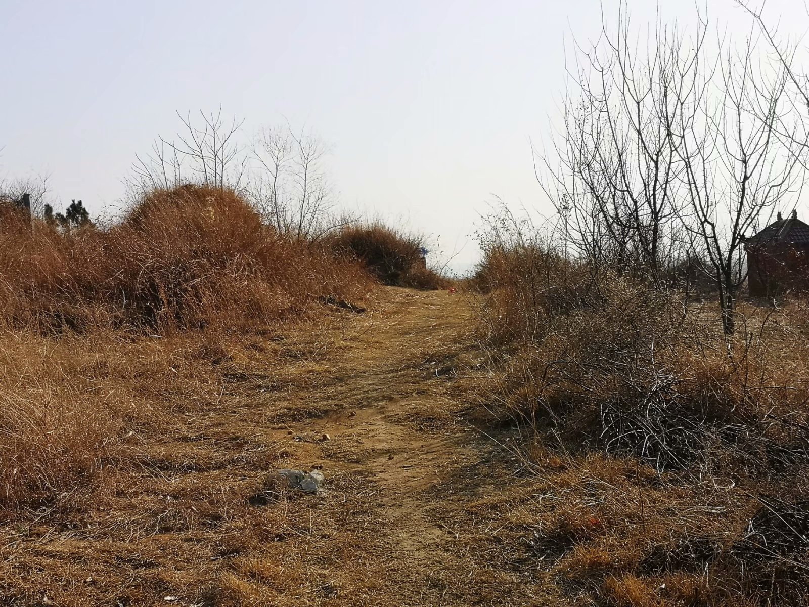 摩托周边旮旯游——探访蚌埠李楼鲁山寺遗址（上）