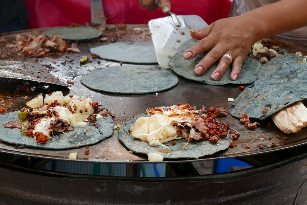 EATWILDLYINMEXICOCITY墨西哥城：食在野（二）