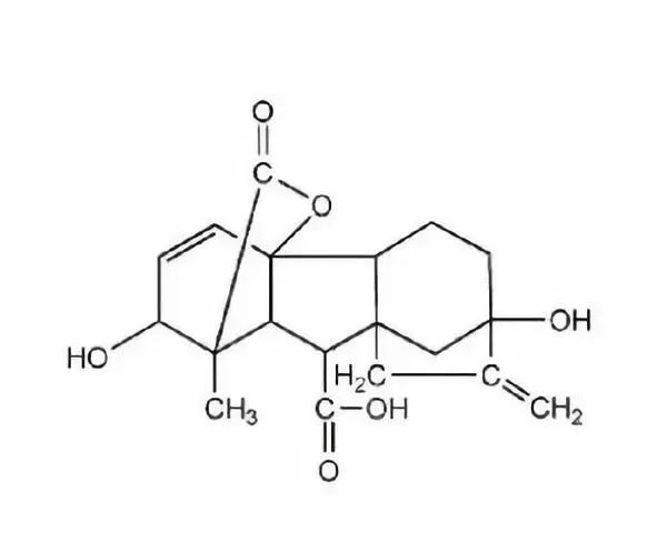 赤霉素在柑桔上有什么作用,柑橘农药100个基础知识