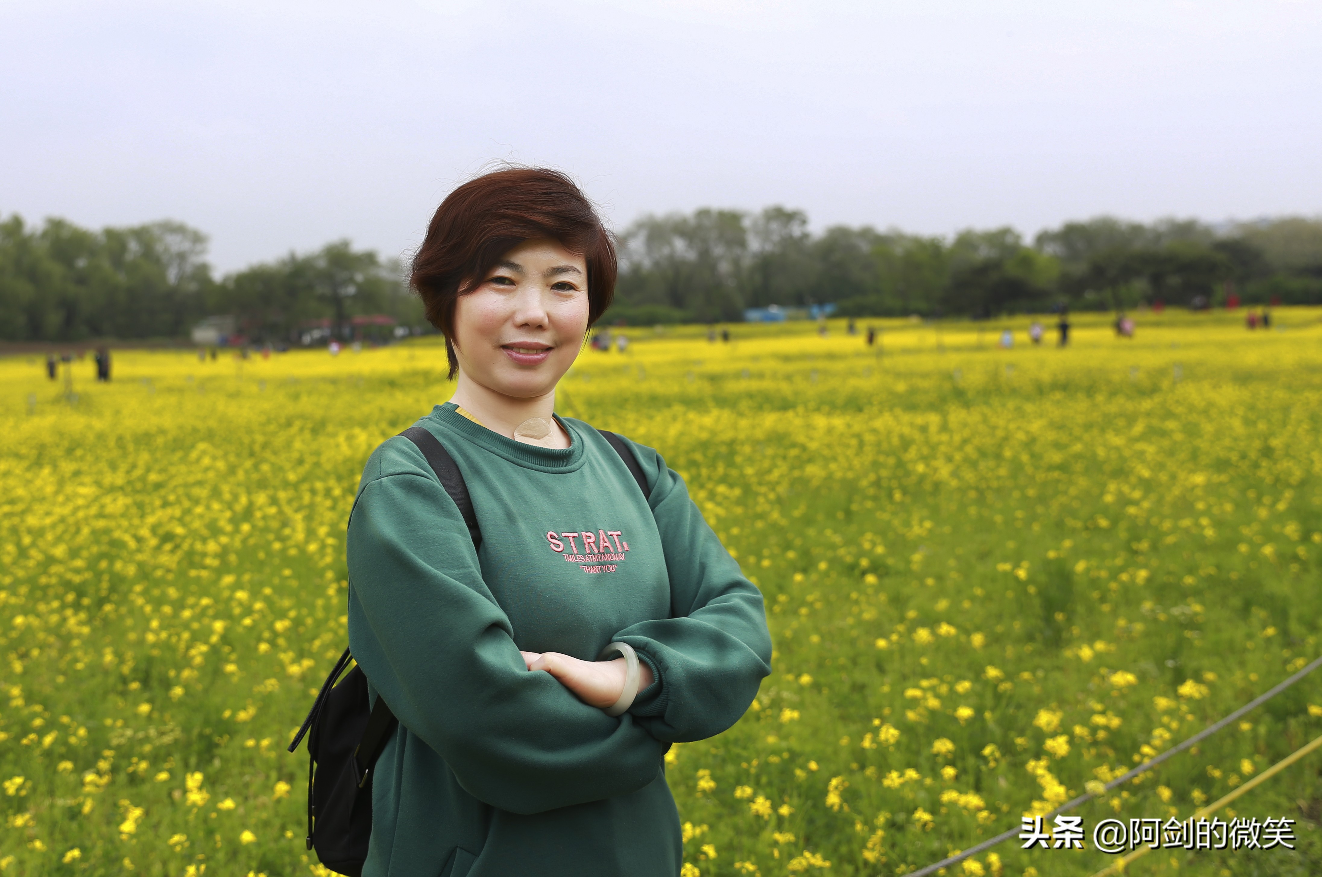 沈阳十一假期哪里有花海,沈阳玫瑰小镇温泉花海两日游