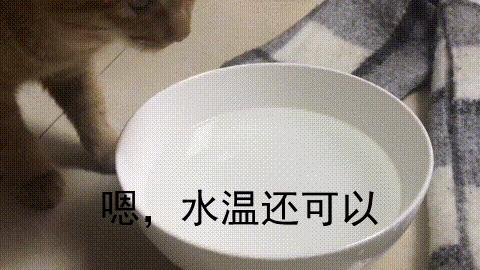 不太脏的羊绒大衣怎么擦,羊绒大衣领子脏了怎么清洗