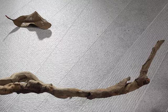 哑光瓷砖防滑防污怎么样,亮光瓷砖防污测试