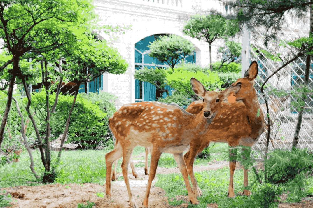 天津7h游玩攻略,畅游天津:精简实用的旅行攻略