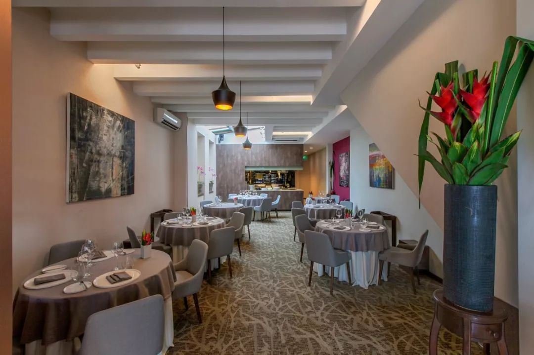 新加坡米其林餐厅名字和地址,普吉岛必打卡的米其林餐厅