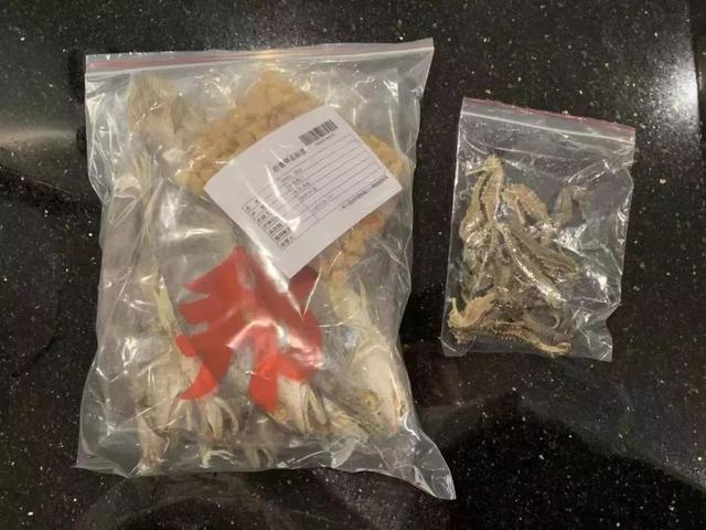 港澳入境旅客携带物品需注意什么,进出港澳不能带什么东西