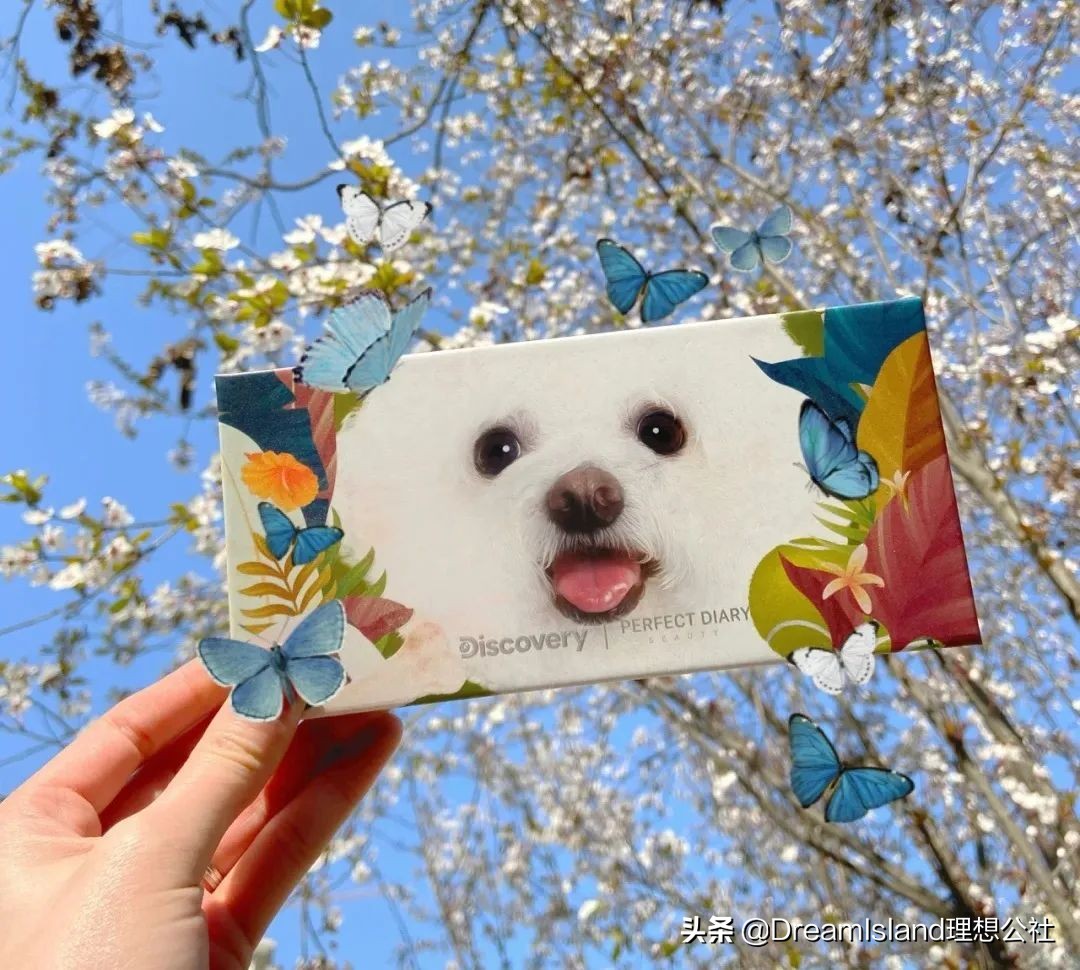 超好用的宝藏单品,拥有这几件单品足够了