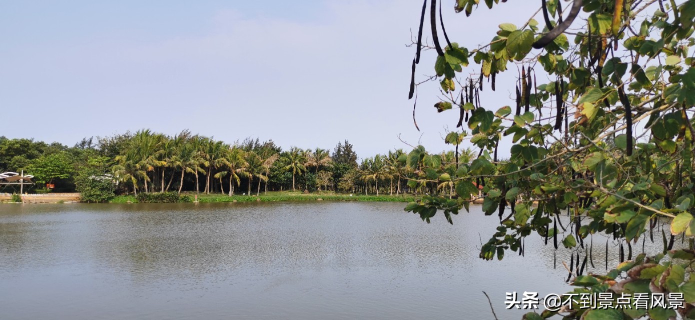 海口海甸岛白沙门公园夜景,海口旅游景点白沙门