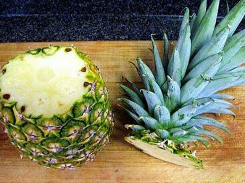 吃完菠萝别扔,吃完菠萝把叶子留下可以种出盆栽