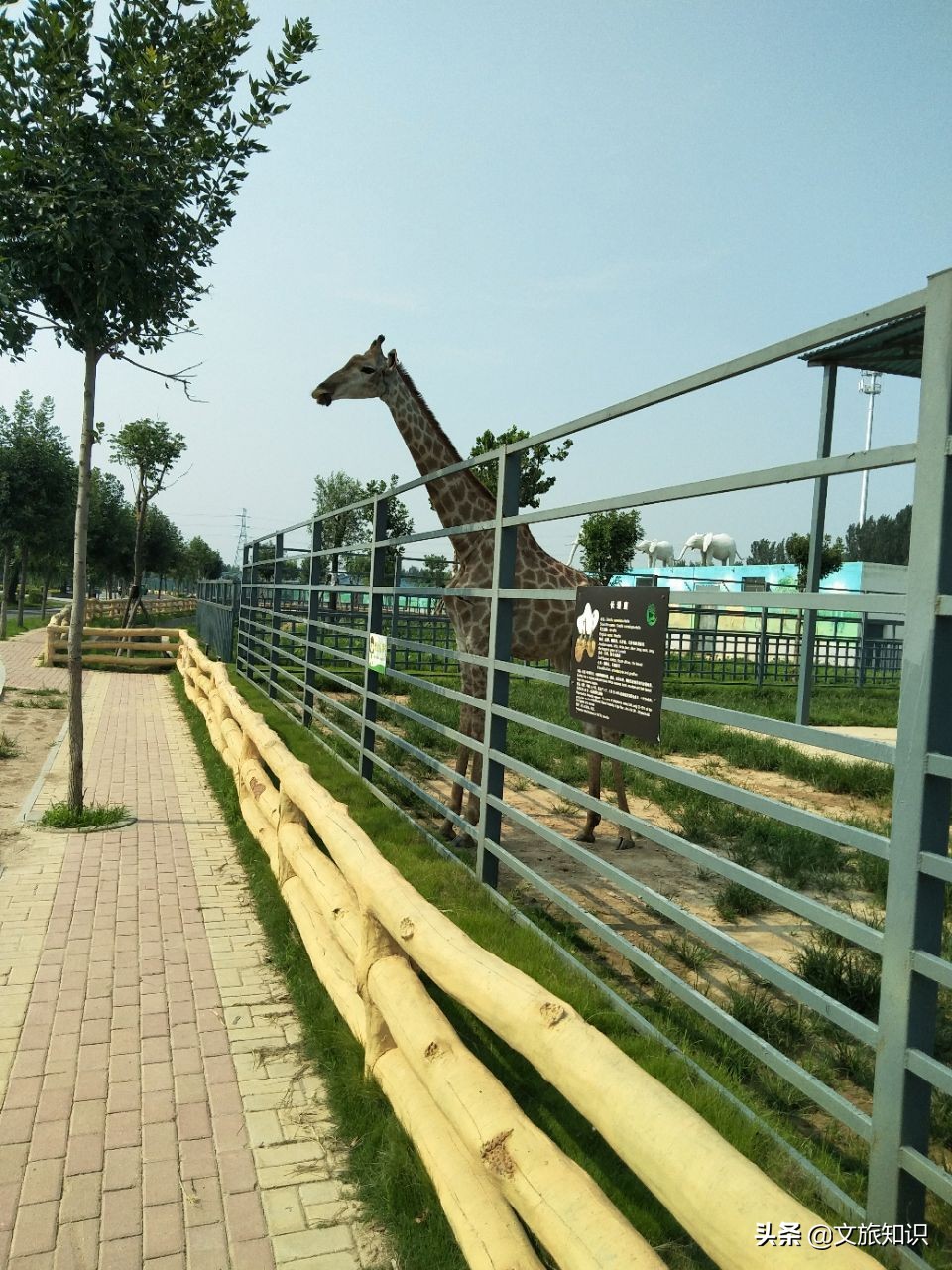 山东德州动植物园旅游区,德州市动植物园视频