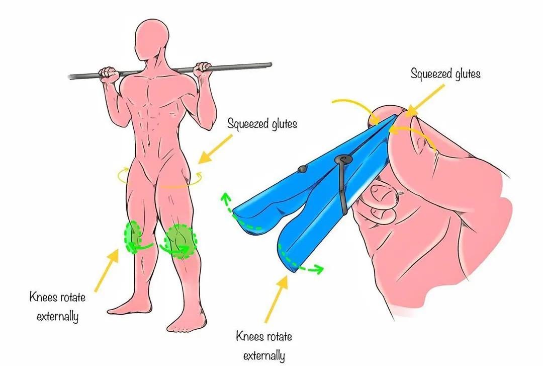 男女深蹲次数多少合适,练习深蹲一个月有什么效果