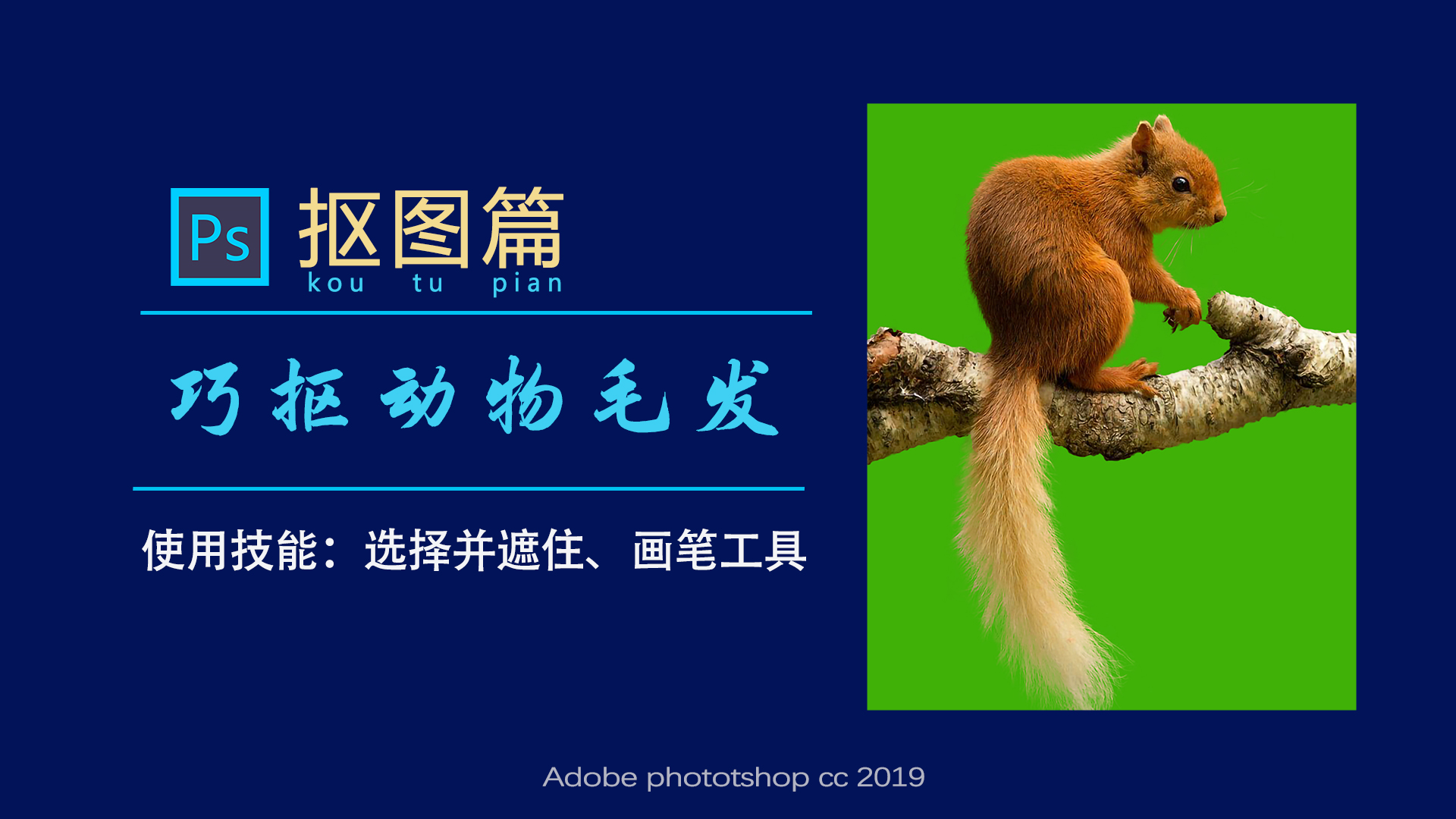 ps抠图动物最快又完整的方法,ps抠图教程动物毛发新手