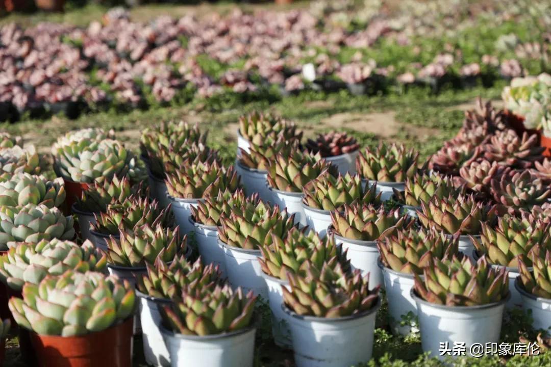 80后创业致富小伙,80后农村小伙创业历程