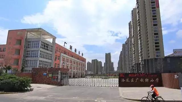 2021年洛阳高新区各小学划片范围,洛阳小学划片政策