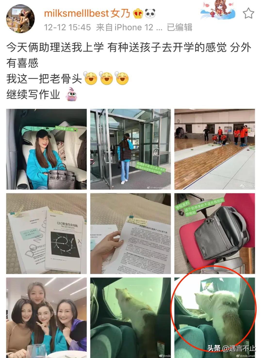 张大奕评价董花花和蒋凡完整视频,蒋凡与董花花最新情况