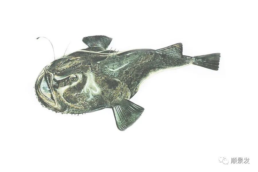 挪威和中国签订协议,挪威希望与中国加强合作