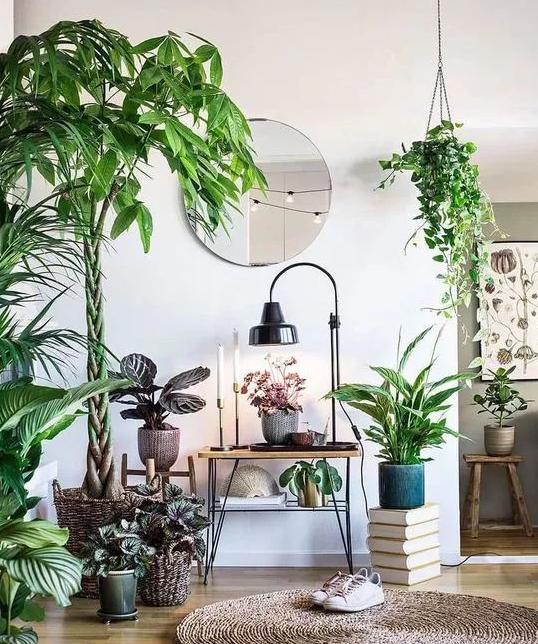 养花土壤结块怎么办,养花怎样避免土壤结块