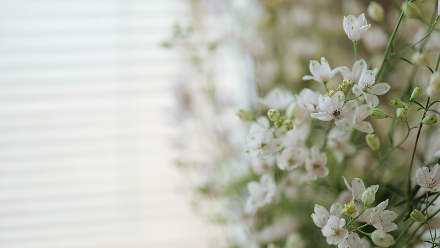 佳能rf50mmf1.8是自动对焦吗,佳能ef50mmf1.8stm标准定焦镜头