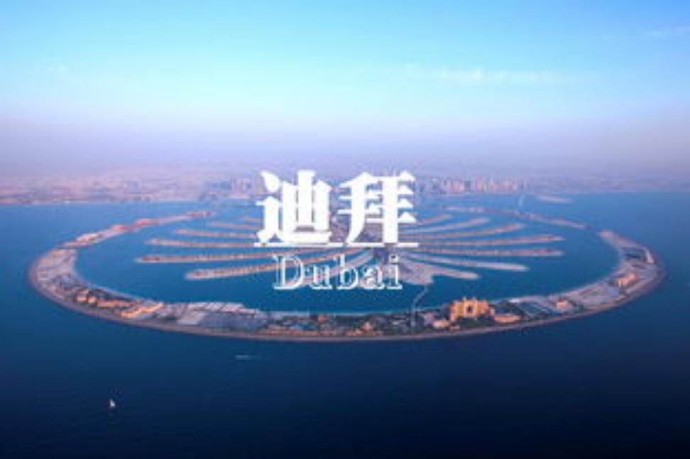 迪拜坑人旅游真实案例,真正的迪拜乱不乱
