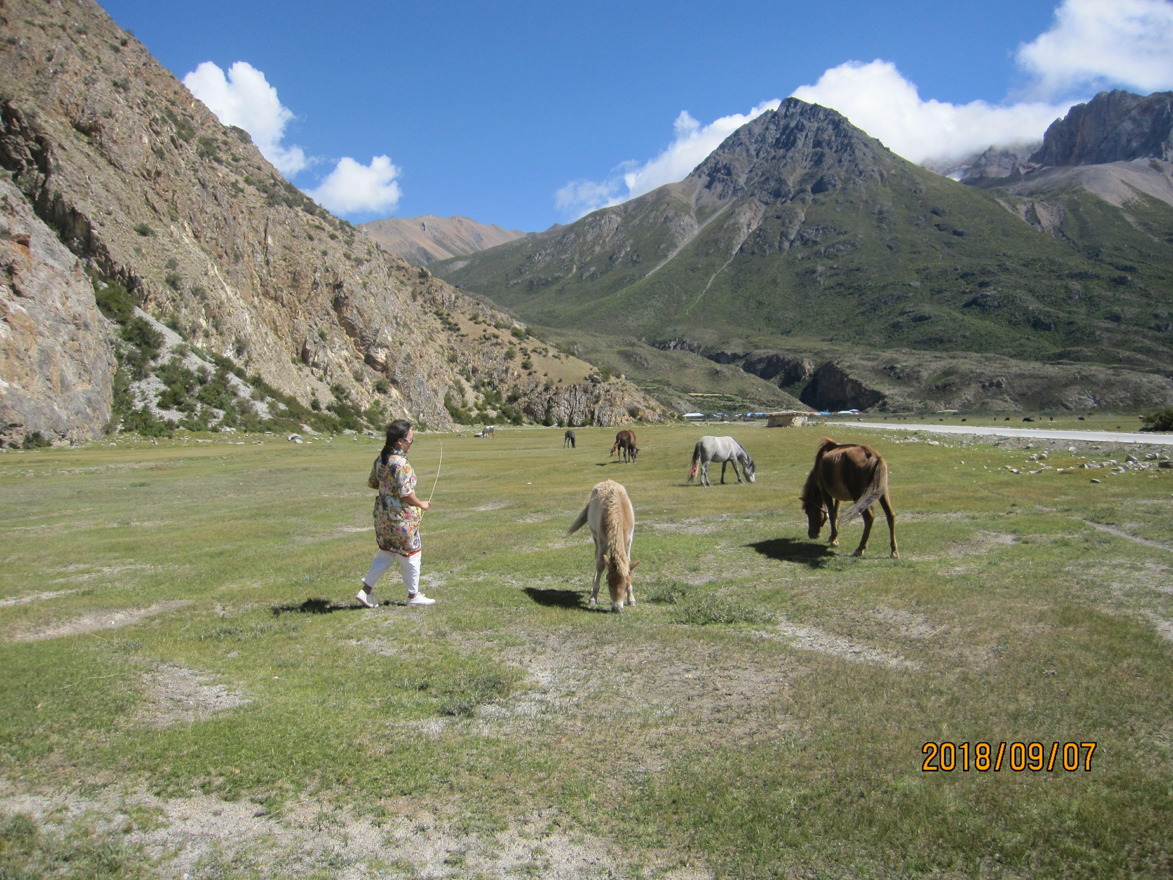 到八宿先去然乌湖还是来古冰川 (西藏阿里8天南北大环线旅游攻略)