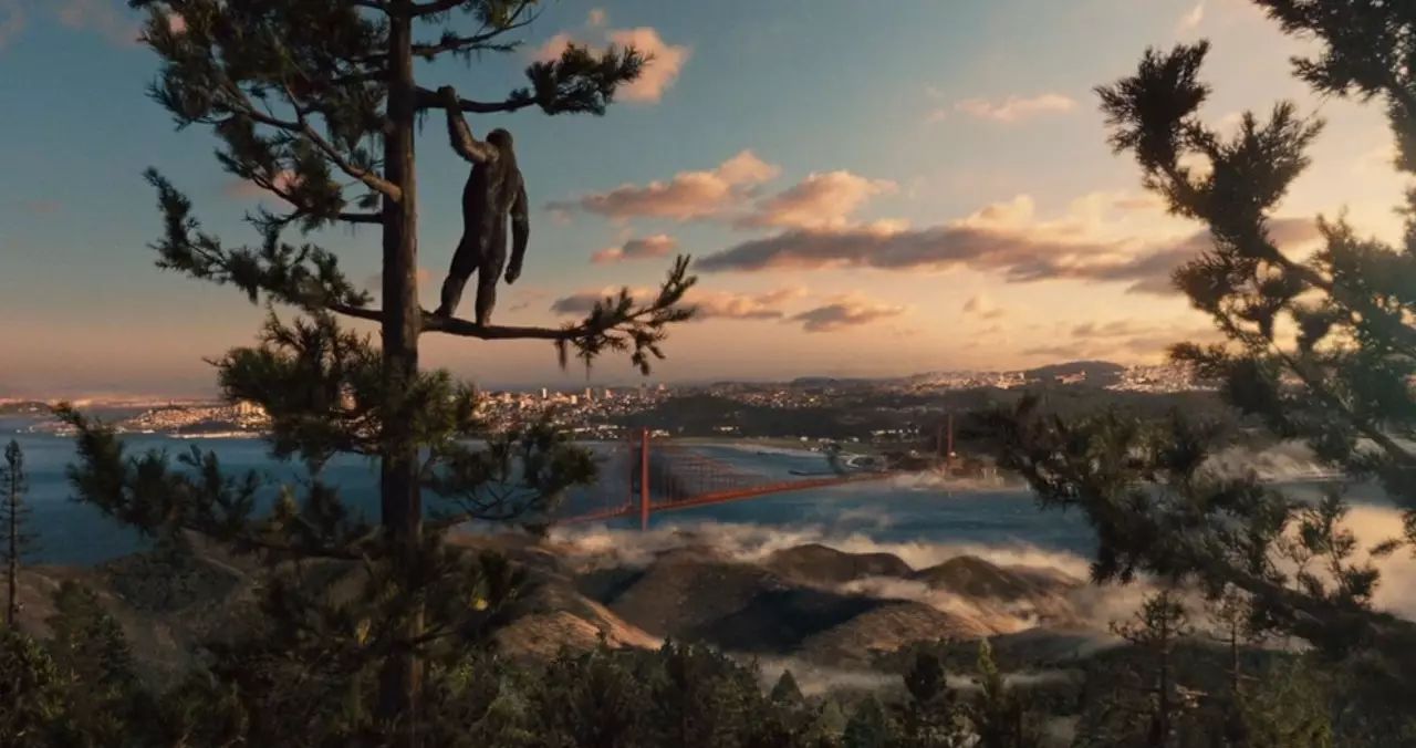 猩球崛起凯撒的一生,凯撒猩球崛起十年前