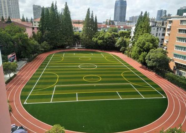 足球场使用管理规定,足球场禁止飞盘公告