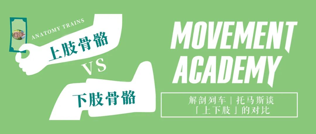 解剖列车|托马斯推荐的1个学习解剖的好方法