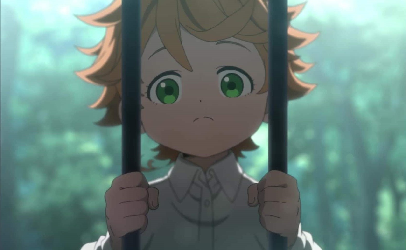 鱼缸法则教育孩子,鱼缸法则完整版