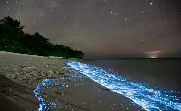 荧光面膜绿灯侠,荧光剂面膜会荧光一辈子吗