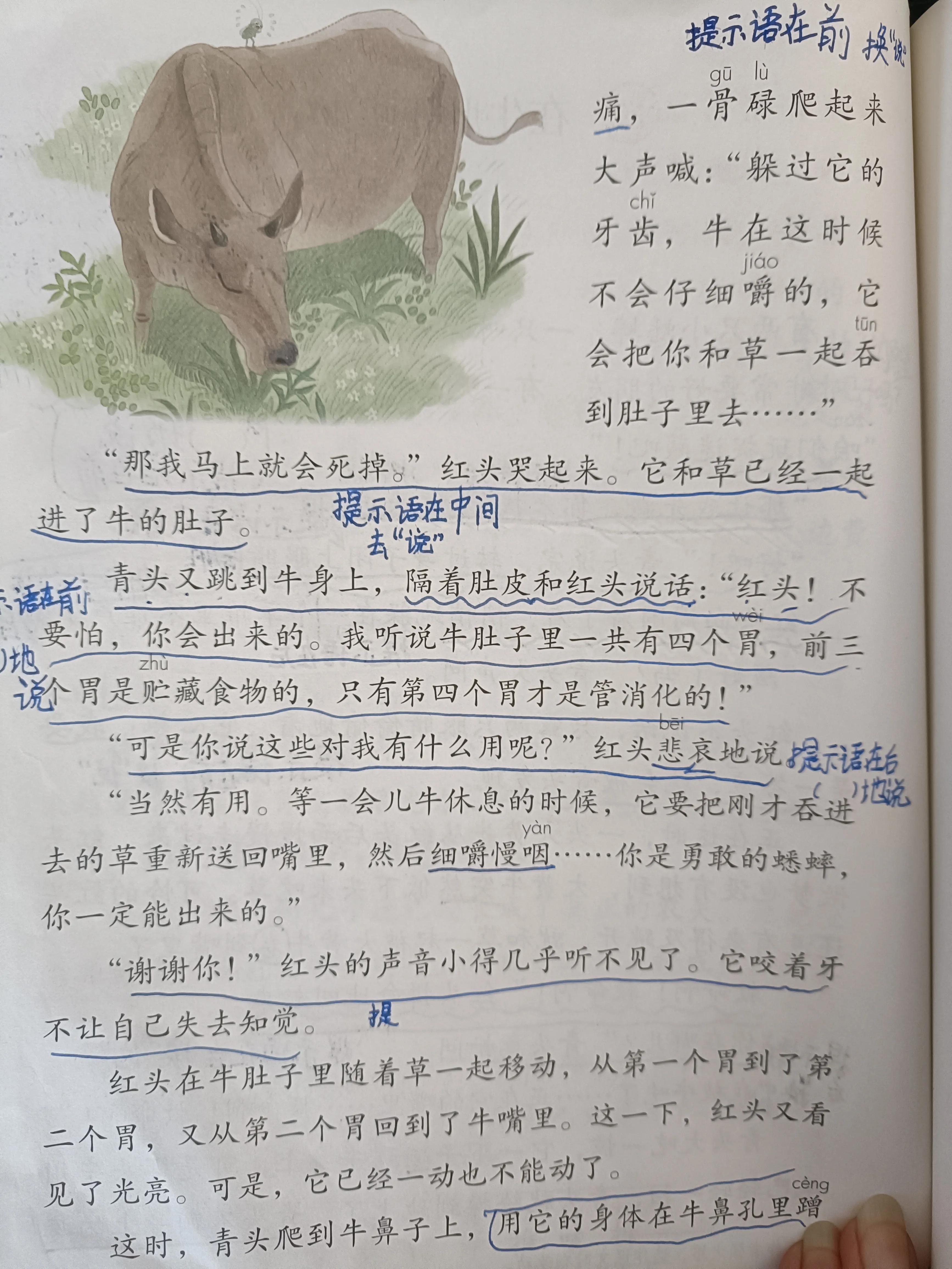 在牛肚子里旅行的提示语有哪些,提示语在中有什么作用