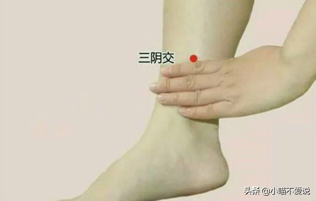 虚胖怎样按摩,虚胖按摩哪里