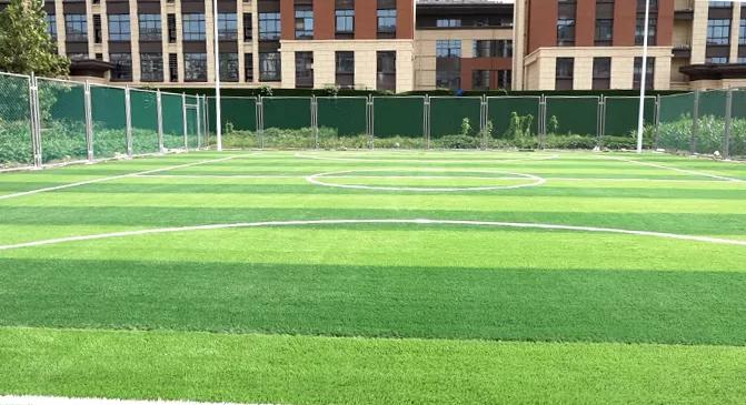 永城市滨湖桃源足球场免费吗,永城免费足球场