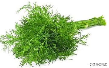 香水中的香精,香水中的香调代表有这种香料吗