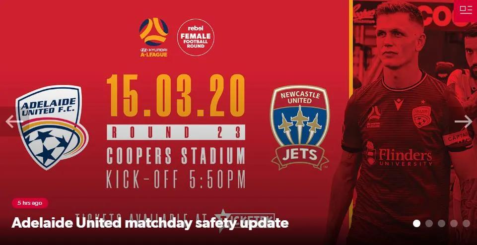 凤凰独占鳌头图片,凤凰强势卡组