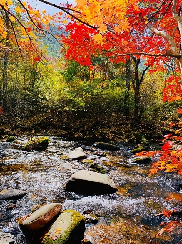 浅谈全国各省份,辽宁省本溪市地域分析