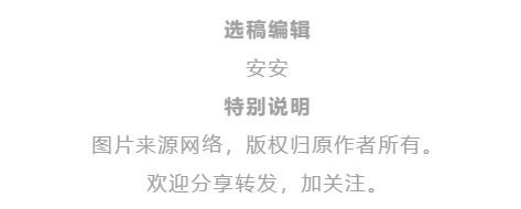 中医刘炳凡,中医刘炳凡治什么病