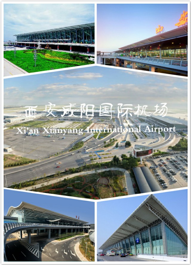 乌鲁木齐国际机场,上海浦东国际机场国际航班汇总