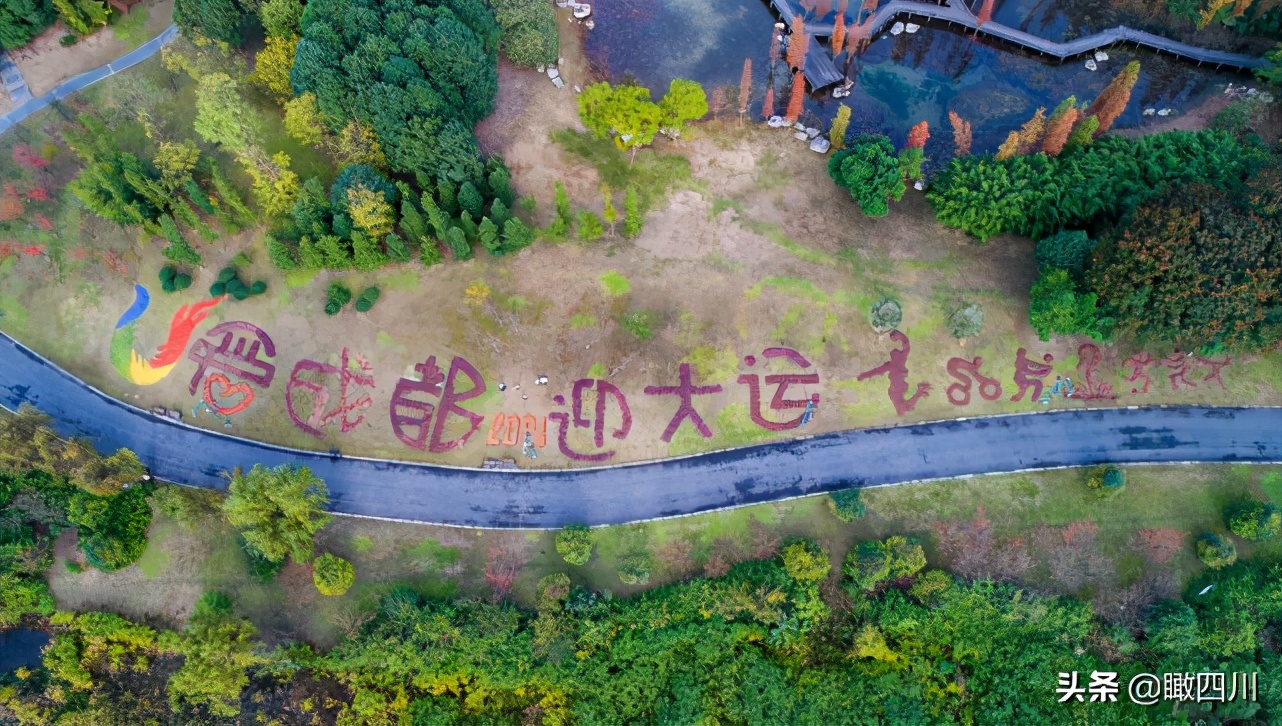 关于环卫工人的绘画作品,环卫工人落叶画