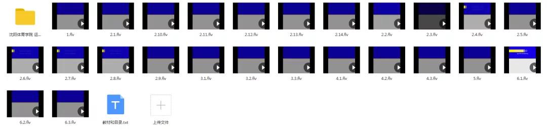 210G解剖学视频，包含系统、断层、运动、人体和局部解剖学