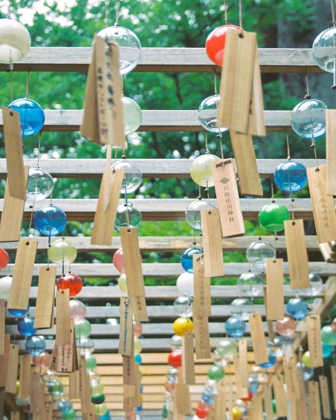 东京自由行最佳攻略详细,东京5日自由行攻略